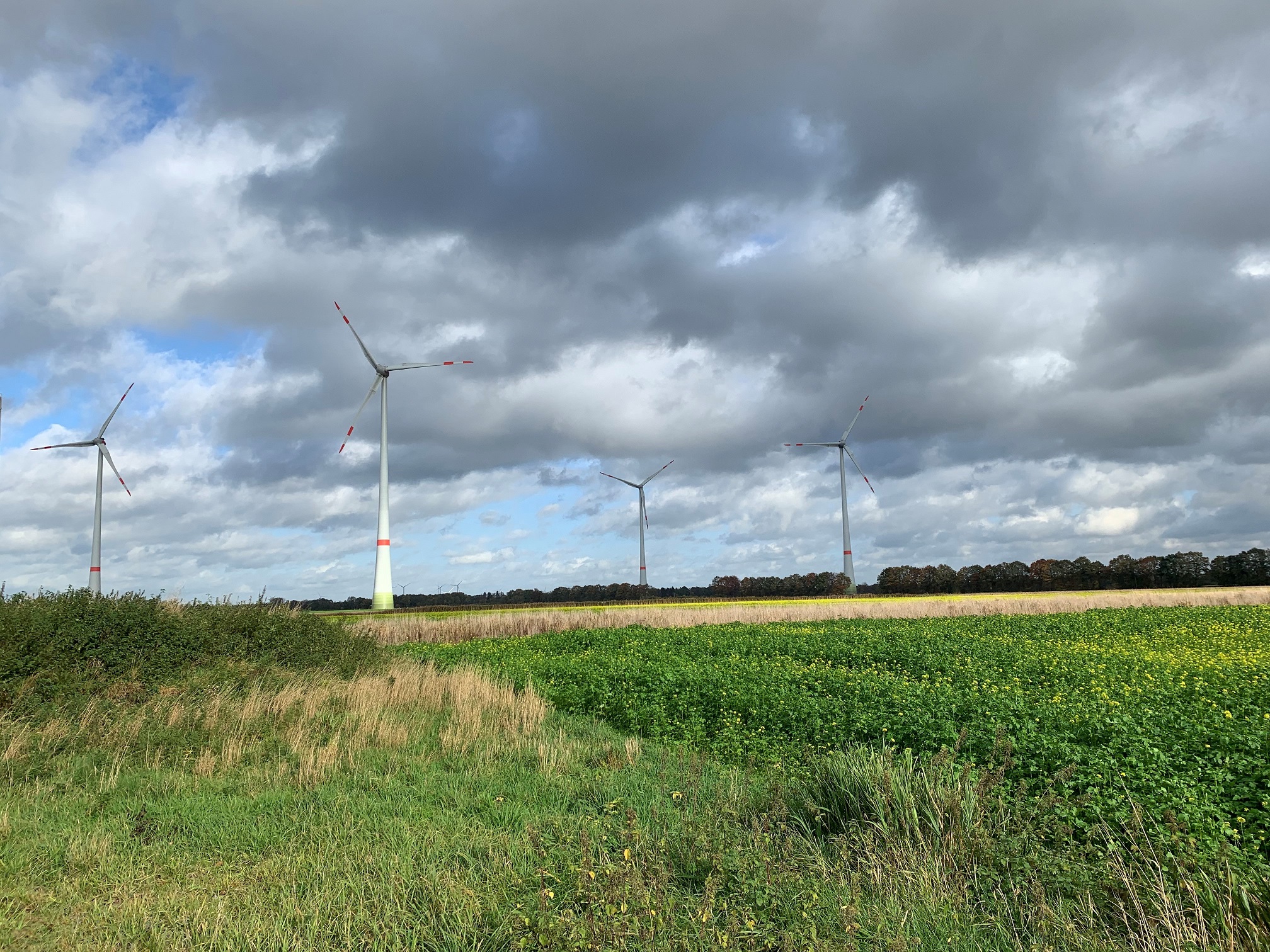 Windmühlen