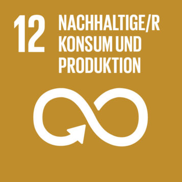 SDG Icon 12: Nachhaltiger Konsum und Produktion