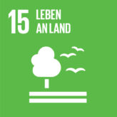 SDG Icon 15: Leben an Land