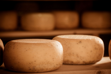 Das Bild zeigt Gouda in der Lagerung
