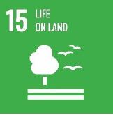 SDG Icon: Life on Land