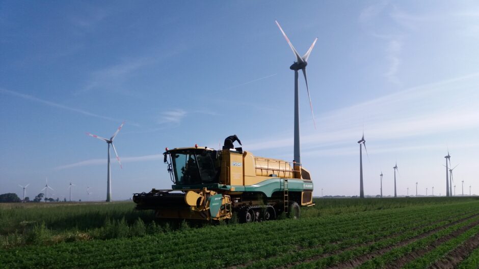 Die BIO-FROST Westhof GmbH verarbeitet Bio-Gemüse aus regionalem Anbau. Zum Beispiel Bio-Erbsen. 
