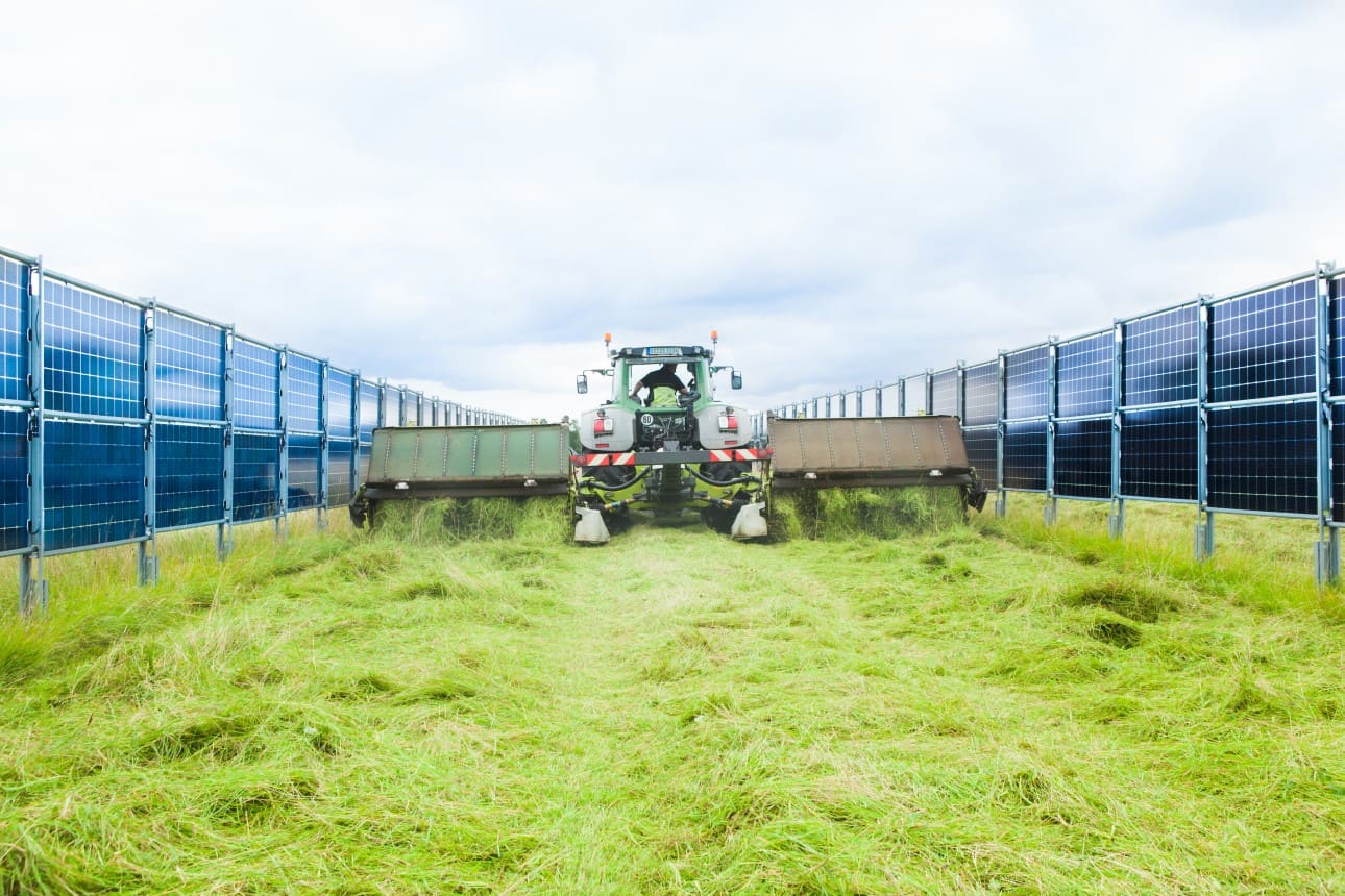 Grüner Traktor mit Mähwerk zwischen Reihen vertikaler Agri-PV bei der Grünlandpflege, umgeben von frisch gemähtem Gras.