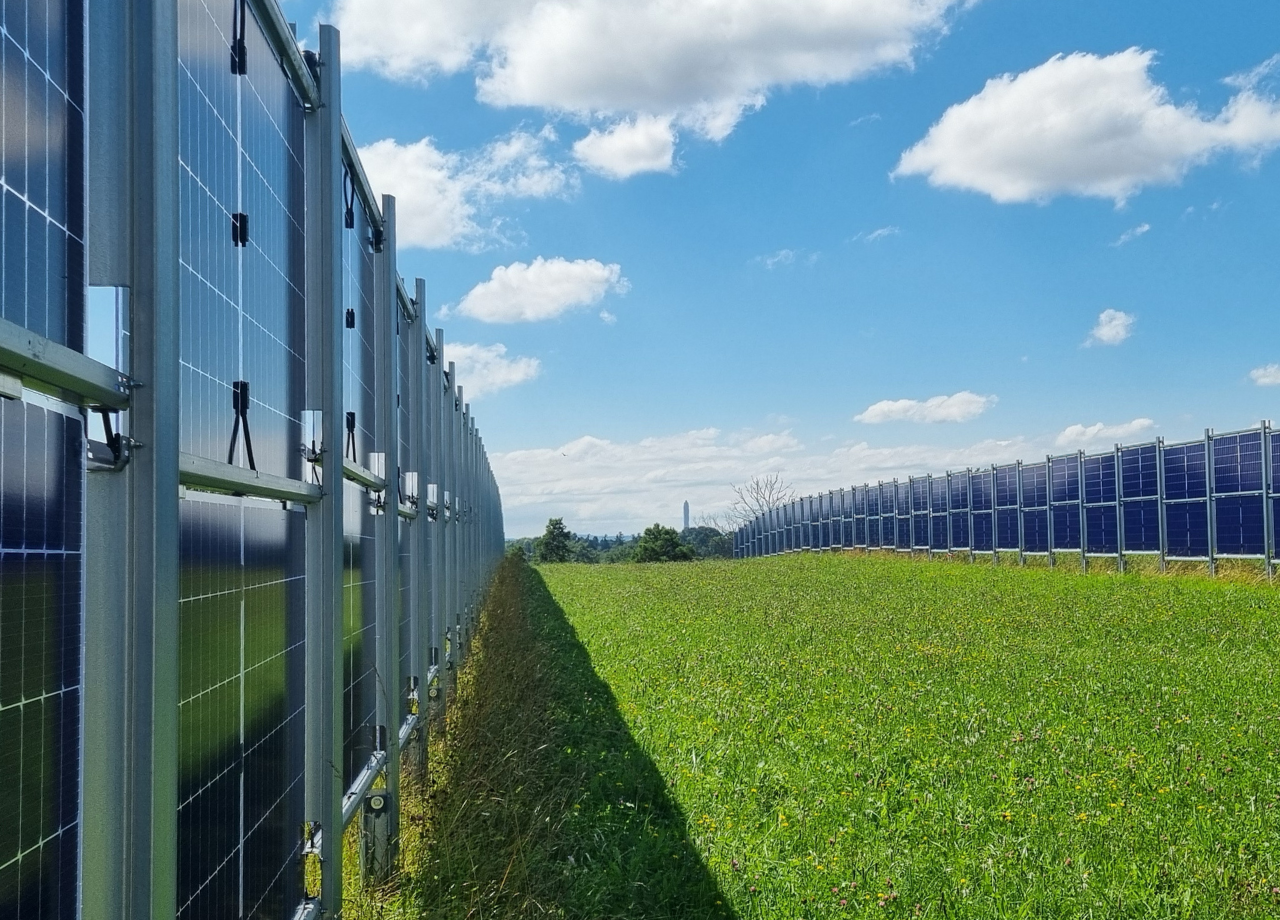 Next2Sun Agri-Solaranalagen in parallelen Reihen auf grünem Feld unter blauem Himmel