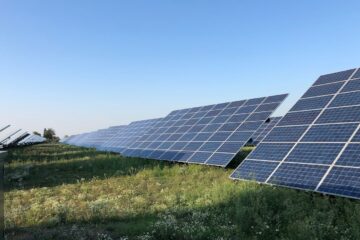 Das Bild zeigt Photovoltaik-Module in einem Solarpark.