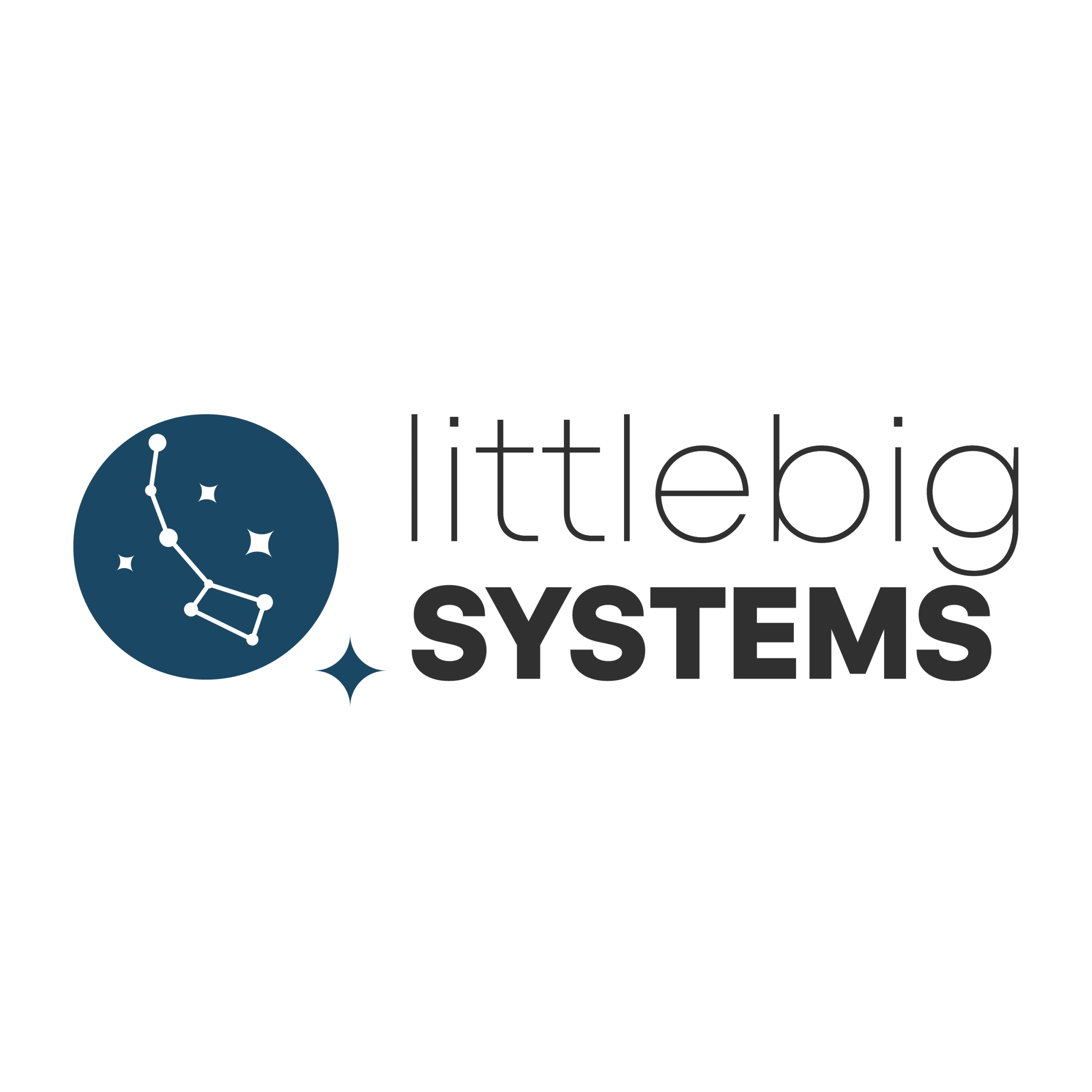 littlebigSystems Logo