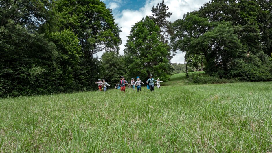 7 Kinder auf einer Wiese mit vielen Bäumen im Hintergrund. Die Kinder sind in Bewegung und laufen auf die Kamera zu.
