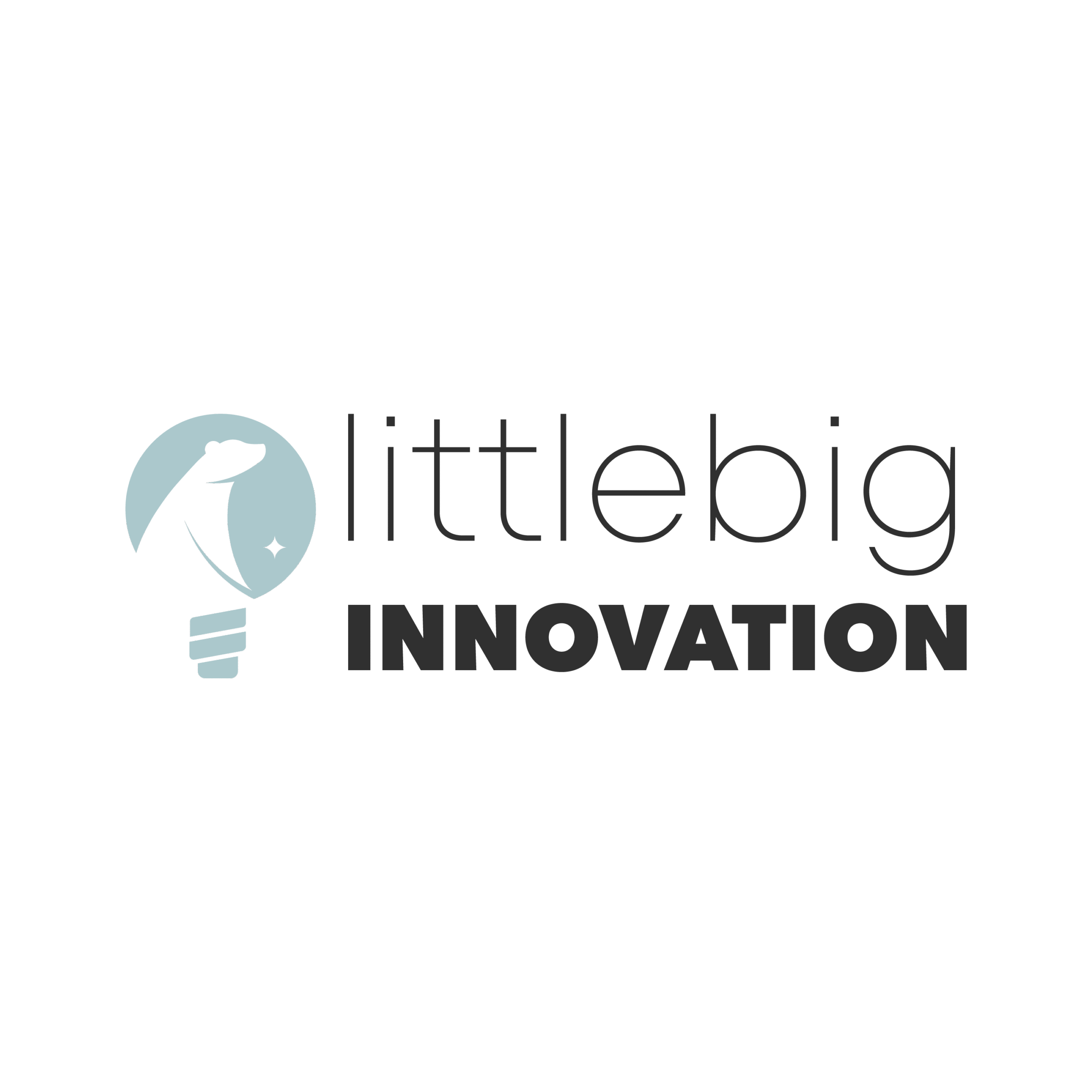 littlebigInnovation Logo