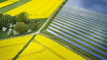 Luftbild Rapsfeld mit Solaranlage